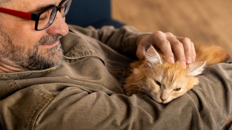 Homme barbu à lunettes rouges qui caresse la tête d'un chat roux aux yeux mi-clos, blotti contre son bras