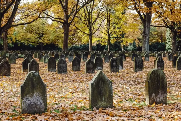 Rangées de vieilles pierres tombales grises dans un cimetière militaire, sur un tapis de feuilles mortes, sous des arbres aux couleurs d'automne