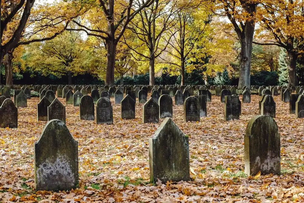 Rangées de vieilles pierres tombales grises dans un cimetière militaire, sur un tapis de feuilles mortes, sous des arbres aux couleurs d'automne
