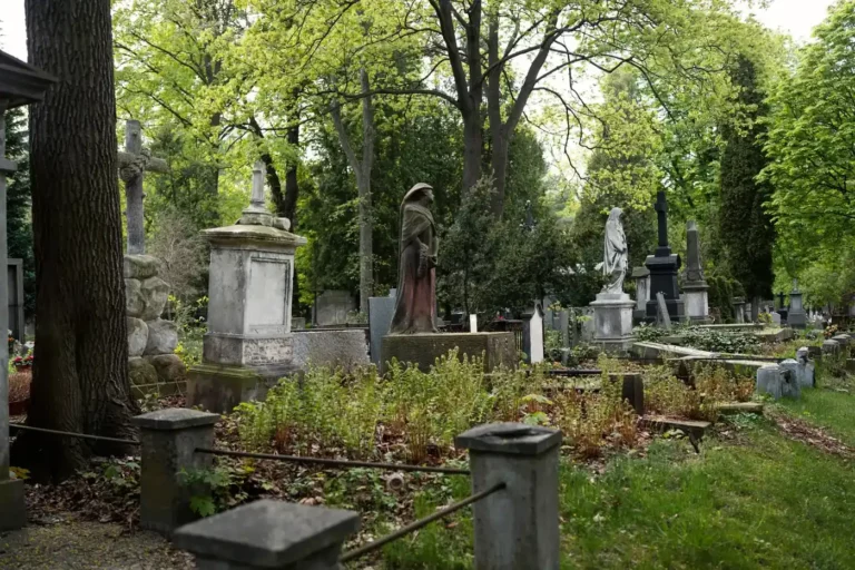 Vieux cimetière boisé avec des monuments funéraires en pierre, une statue drapée et des croix, entourés de végétation et de hautes herbes