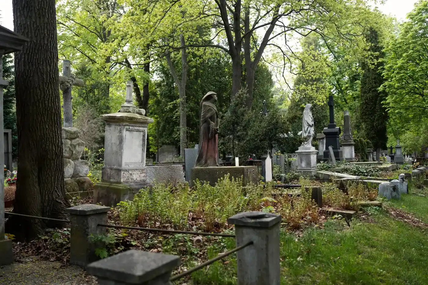 Vieux cimetière boisé avec des monuments funéraires en pierre, une statue drapée et des croix, entourés de végétation et de hautes herbes