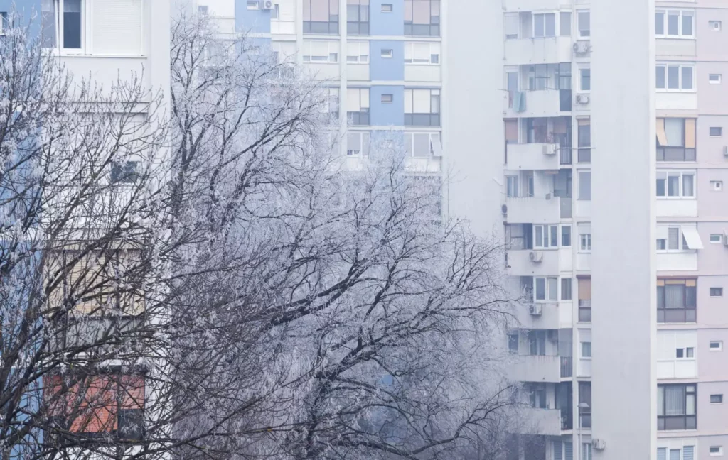 Arbres couverts de givre devant des immeubles d'habitation de plusieurs étages, dans une lumière blanche d'hiver