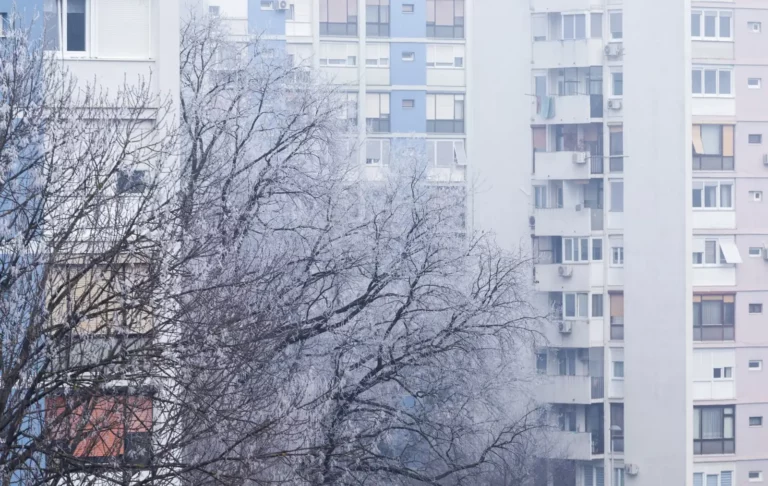 Arbres couverts de givre devant des immeubles d'habitation de plusieurs étages, dans une lumière blanche d'hiver